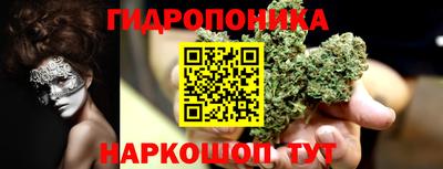 индика Краснознаменск