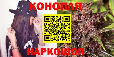 индика Краснознаменск