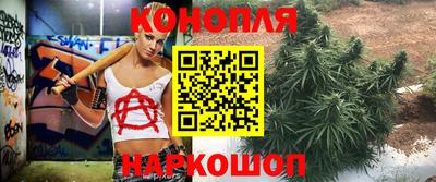 индика Краснознаменск