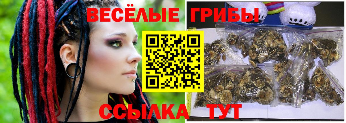 Екатеринбург  Псилоцибиновые грибы мухоморы  где купить наркоту  Вход с VPN 